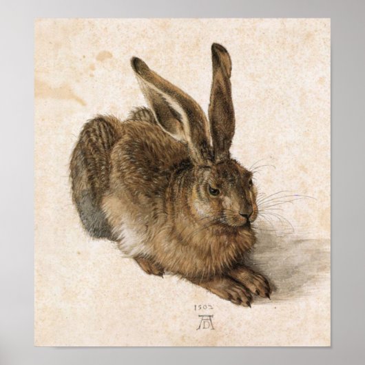 Albrecht Dürer - Junger Hase (Young Hare), 1502 Poster (Voorkant)