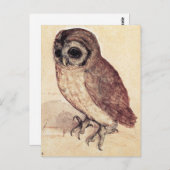 Albrecht Durer la carte postale de petit hibou (Devant / Derrière)