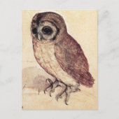 Albrecht Durer la carte postale de petit hibou (Devant)