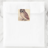 Albrecht Durer Les Stickers Little Owl (Sac)