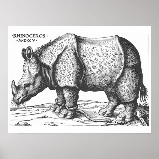 Albrecht Durer - Rhinoceros Poster (Voorkant)