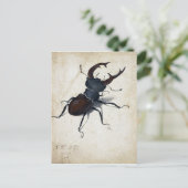 Albrecht Dürer Stag Beetle Briefkaart (Staand voorkant)