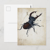Albrecht Dürer Stag Beetle Briefkaart (Voorkant / Achterkant)