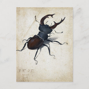 Albrecht Dürer Stag Beetle Briefkaart