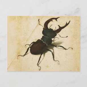 Albrecht Durer Stag Beetle Renaissance  Art Briefkaart