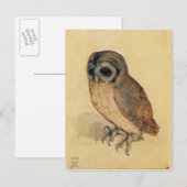 Albrecht Durer The Little Owl Briefkaart (Voorkant / Achterkant)