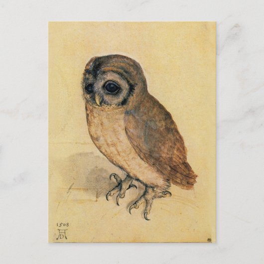 Albrecht Durer The Little Owl Briefkaart (Voorkant)