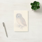 Albrecht Durer The Little Owl Post-it® Notes (Kantoor)