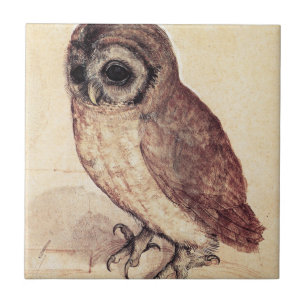 Albrecht Durer The Little Owl Tile Tegeltje