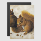 Albrecht Durer - Twee eekhoorns (Voorkant / Achterkant)