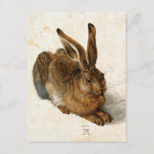 ALBRECHT DÜRER - Young hare 1502 Briefkaart