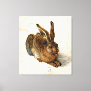ALBRECHT DÜRER - Young hare 1502 Canvas Afdruk