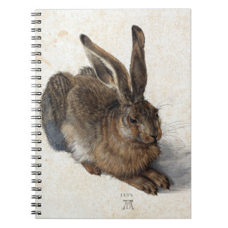 Albrecht Dürer, Young Hare, 1502 Notitieboek