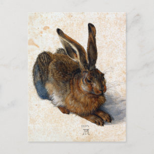 Albrecht Dürer Young Hare Briefkaart