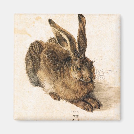 Albrecht Durer Young Hare Magnet (Devant)