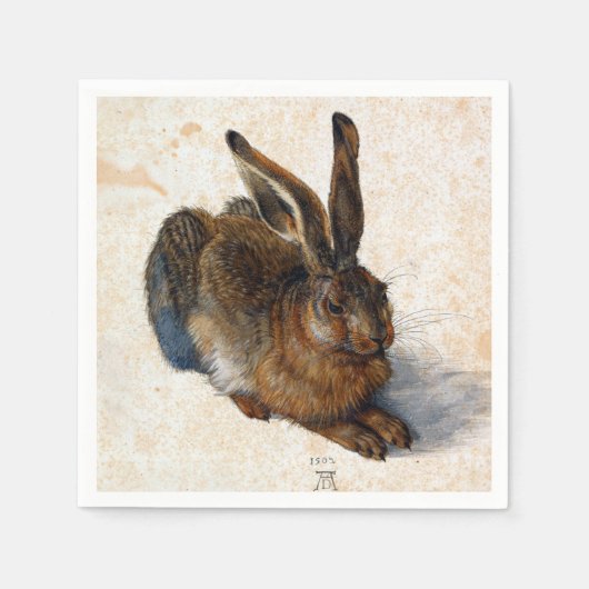 Albrecht Dürer Young Hare Servet (Voorkant)