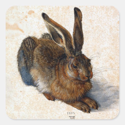 Albrecht Dürer Young Hare Vierkante Sticker (Voorkant)