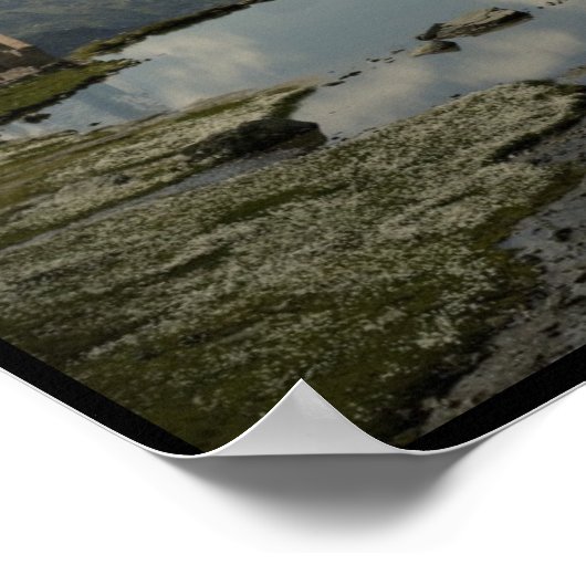 Albrecht Poster (Hoek)