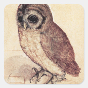 Albrecht tijdens de kleine uil Stickers