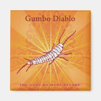 Album Hoesje Magnet Magneet