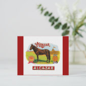 Alcazar, het racepaard briefkaart (Staand voorkant)