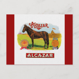 Alcazar, het racepaard briefkaart