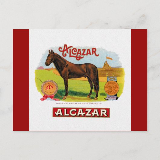 Alcazar, het racepaard briefkaart (Voorkant)