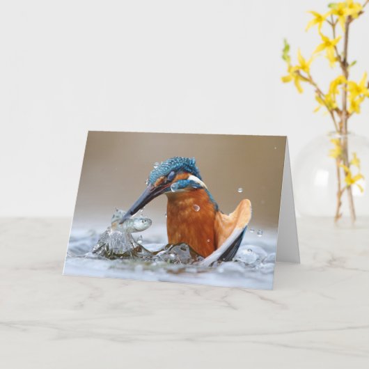 Alcedo Atthis Kingfisher jager Luca Casale Kaart (Gele Bloem)