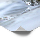 Alcedo Atthis Kingfisher jager Luca Casale Poster (Hoek)