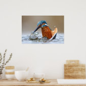 Alcedo Atthis Kingfisher jager Luca Casale Poster (Keuken)