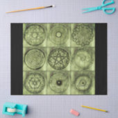 alchemistische symbolen tissue paper tissuepapier (Craft)
