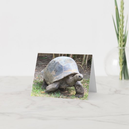 Aldabra Giant Tortoise Photo Carte de note pliée (Devant)