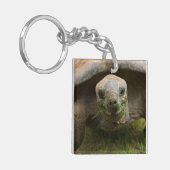 Aldabra Tortoise Feeding Sleutelhanger (Voorkant Links)
