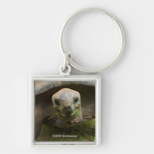 Aldabra Tortoise Feeding Sleutelhanger