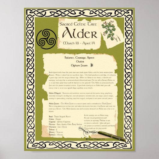 ALDER CELTIC SACRED TREE POSTER (Voorkant)