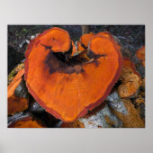 Alder Heart - Poster (Voorkant)