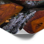 Alder Heart - Poster (Coin)