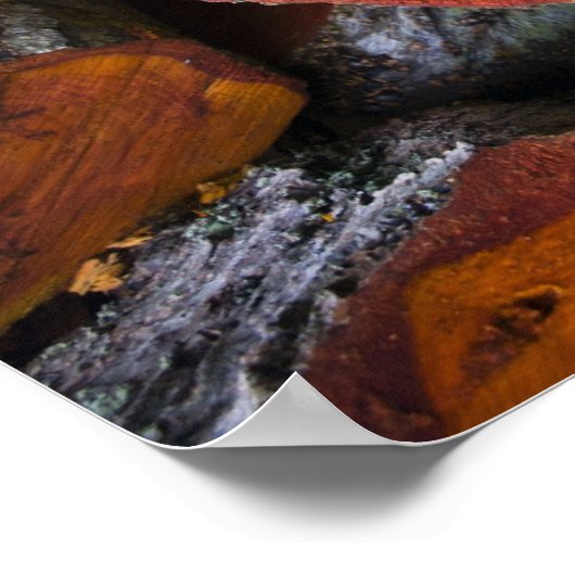 Alder Heart - Poster (Coin)