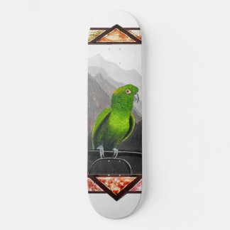 Aldo mijn amazonepapegaai skateboard