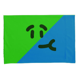 Aleξsponge Kussensloop