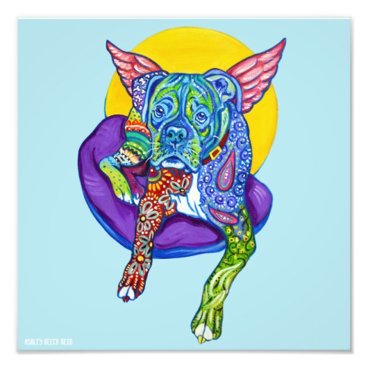 Alebrijes Boxer 12x12-inch afdrukken Foto Afdruk (Voorkant)