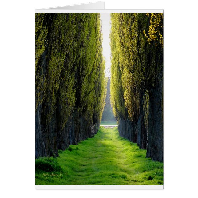 ALEJAWroclaw Polen (Voorkant)