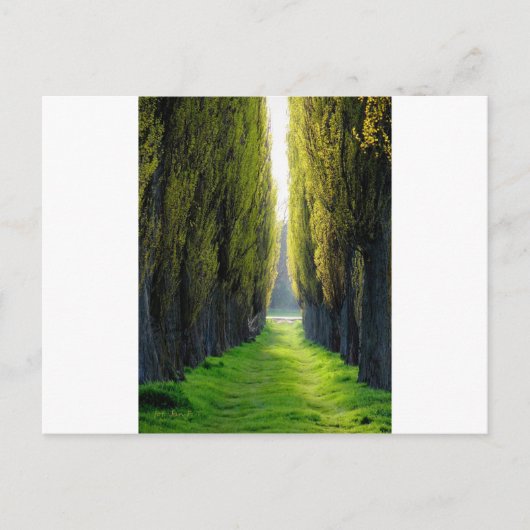 ALEJAWroclaw Polen Briefkaart (Voorkant)