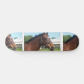 Alert Arabian Horse Skateboard (Horizontaal)