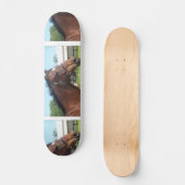 Alert Arabian Horse Skateboard (Voorkant)