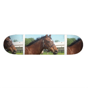 Alert Arabian Horse Skateboard