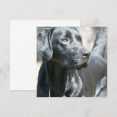 Alert Black Labrador Rertriever Dog Invitaties Kaart (Voorkant / Achterkant)
