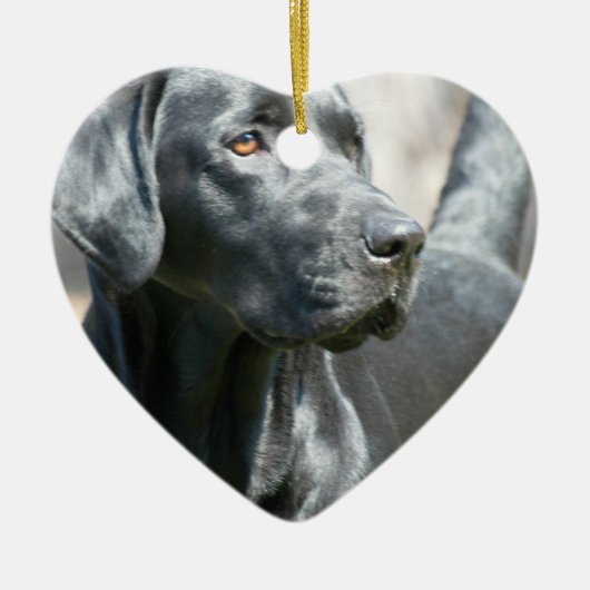 Alert Black Labrador Rertriever Dog Ornament (Voorkant)