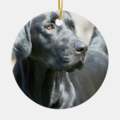 Alert Black Labrador Retriever Dog Ornament (Voorkant)