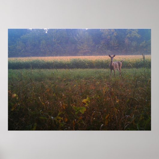 Alert Doe Poster (Voorkant)